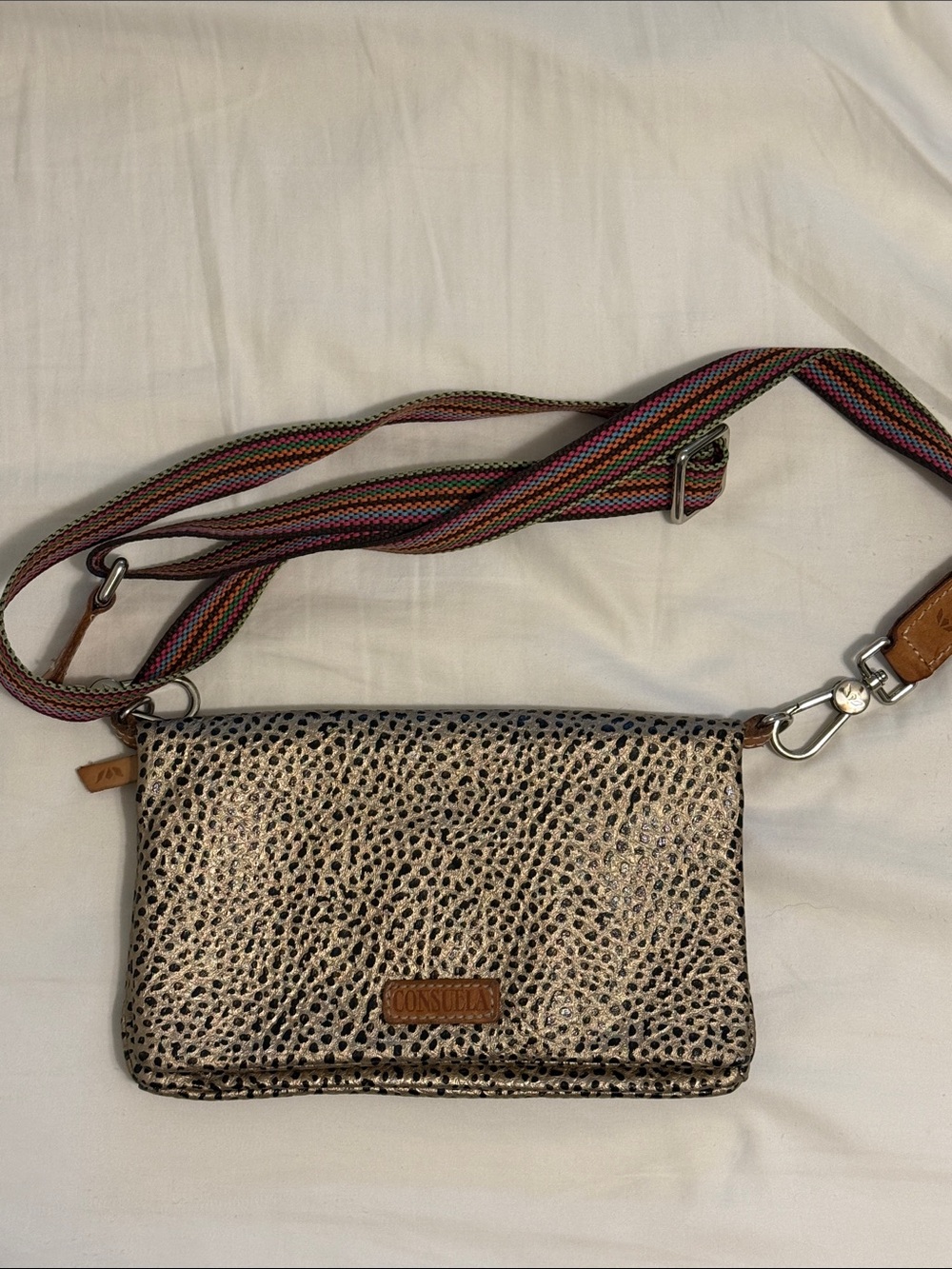 Consuela Metallic Taupe Crossbody with Multicolor Woven Strap